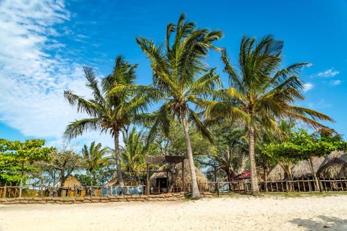 Surrounding environment, Manico Camp in Inhaca Inhaca