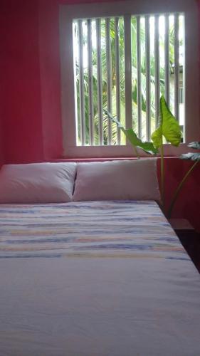 villa Harborend in Galle