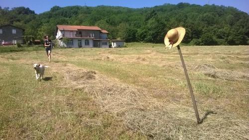 Locanda di Campagna