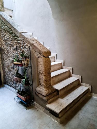 Facilities, Eden House in Crotone