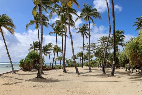 strand, Bungalow Passion - Plage Caravelle à 10 mn - Aéroport à 30 mn (Bungalow Passion - Plage Caravelle a 10 mn - Aeroport a 30 mn) in Sainte Anne