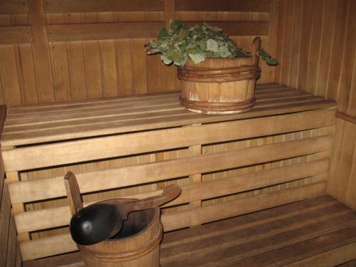 Sauna, Koryakivskyi Rai in Rokytne
