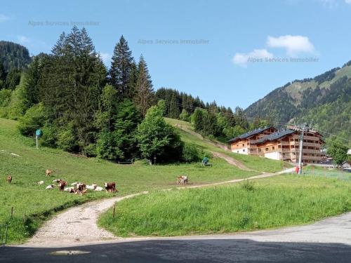 Duplex spacieux, 3 pièces près des pistes, Saint-Jean-d'Aulps - FR-1-573-76 (Duplex spacieux, 3 pieces pres des pistes, Saint-Jean-d'Aulps - FR-1-573-76) in Le Biot