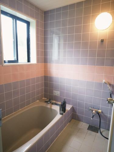 FUJII Hakuba Backpacker in Hakuba