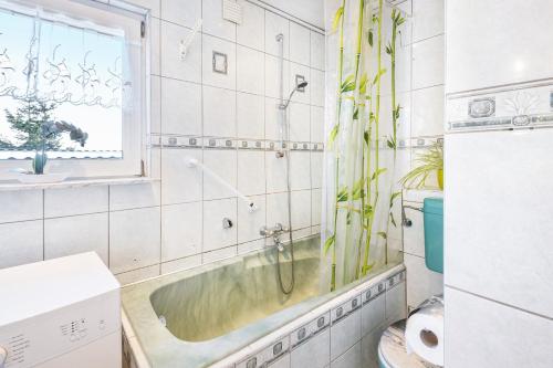 Bathroom, Ferienhaus im Harz in Harzgerode