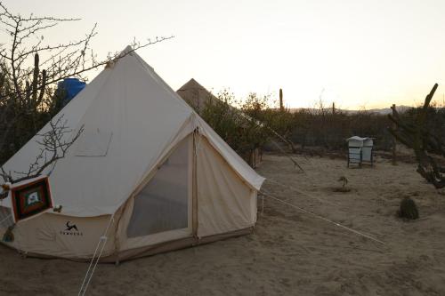 Eco Glamping Biosfera - Bahia Turquesa in La Ventana