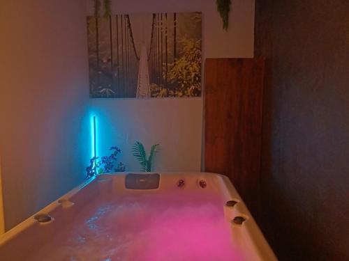 Maison avec jacuzzi 3