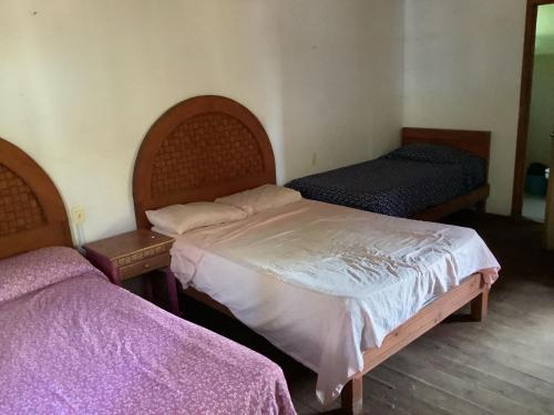 . Katary Gro Ecohotel