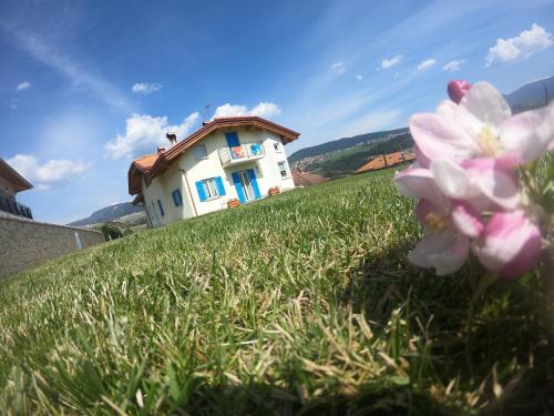 Viesnīcas āriene, Appartamento Agritur nel Verde in Brez