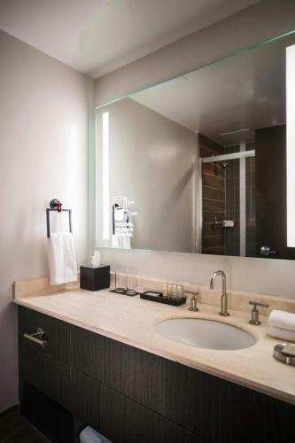 Renaissance Toledo Downtown Hotel - image 11