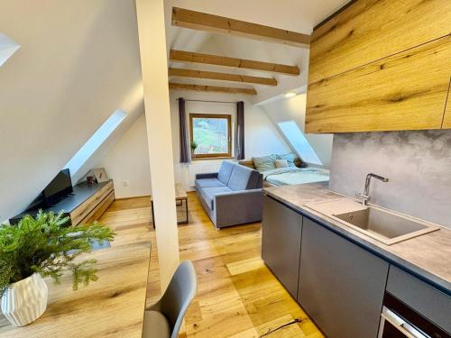 Konyha, Mezi vršky - rodinný apartmán Filipovice (Mezi vrsky - rodinny apartman Filipovice) in Bela Pod Pradedem