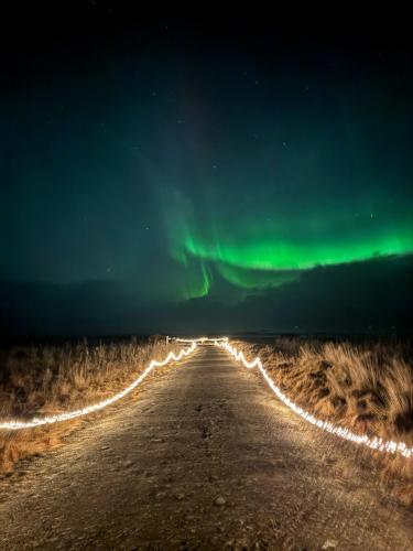 Tiny Cabin Under the Northern Lights in Leira