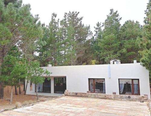 ecuestre53