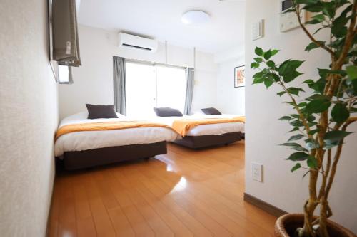 スカイツリービュー 最大11名 高級マンション最上階 ソレイユ501