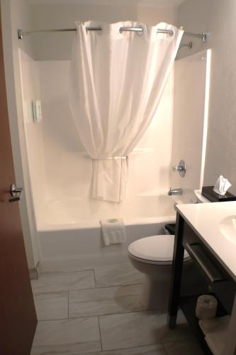 Microtel by Wyndham Cedar Rapids/Marion - image 42