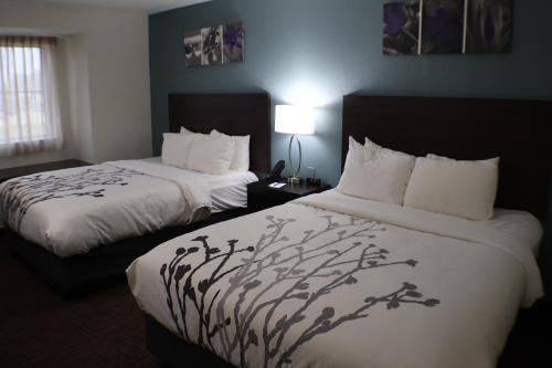 Microtel by Wyndham Cedar Rapids/Marion - image 21