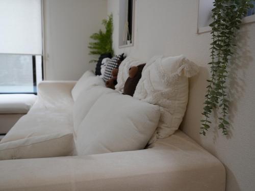 Japanese and Western new building, EMI HOUSE Amagasatenya Station Kansai Airport direct access, can comfortably accommodate up to 8 people