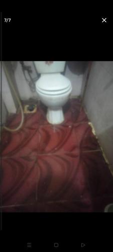 . قنا الشؤن