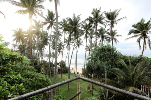 View, Surf Dine in Matara