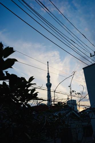 MUSICIAN AIR 0014 kyojima