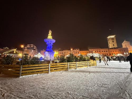 Apartmány Hradební 16 (Apartmany Hradebni 16) in Чеське-Будейовіце