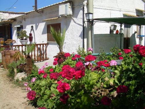 Holiday Home image 7