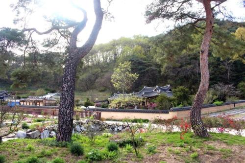 Bonghwa manhoi gotek in Bonghwa