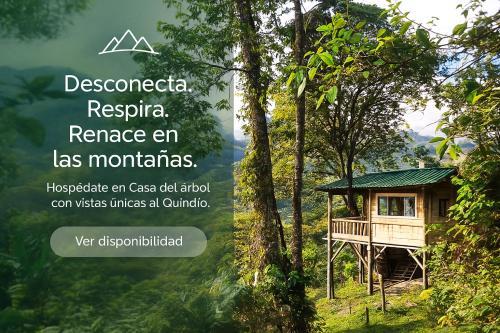 Casa Del Árbol Mirolindo Pijao Quindío