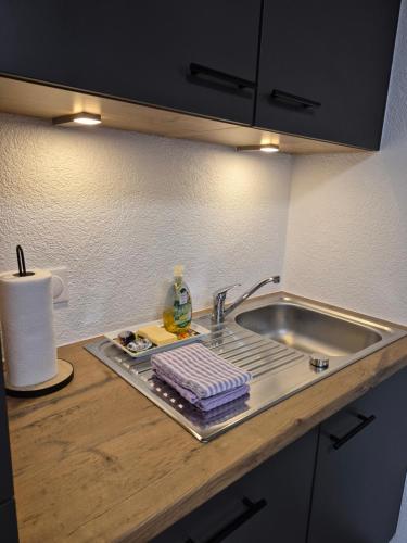 Renovated farmhouse apartment - Swiss border in 蓋拉德