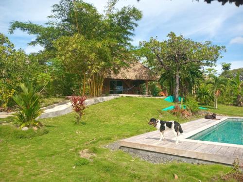 Finca Zayan in Copecito