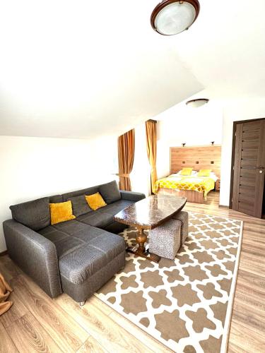 Vila Luminita