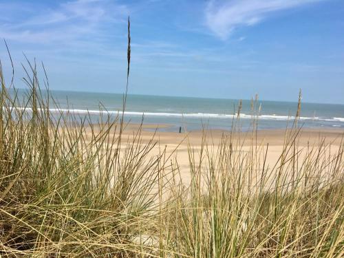 NORDSEE GLAMPING Mobilheim Chalet 2467 in Bredene