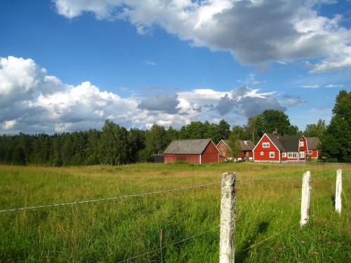 Kråkeskogsgården, nature in town