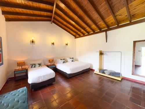 Dreamer Cocora in Salento