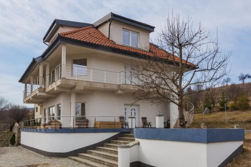 Villa Grande - Location saisonnière - Odorheiu Secuiesc
