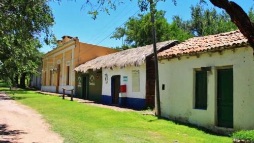Vencejos de Cascada