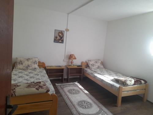 Cezar Slavko Vesna - Location saisonnière - Čačak