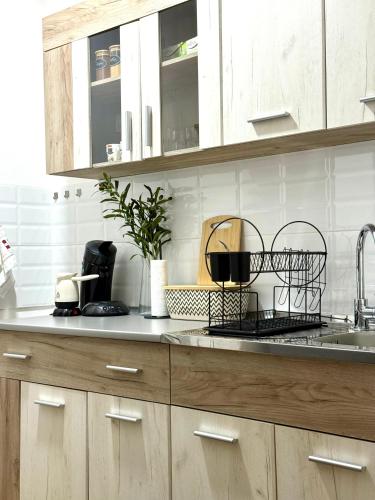Apartman Mir in Temerin