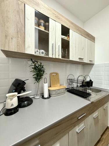 Apartman Mir in Temerin