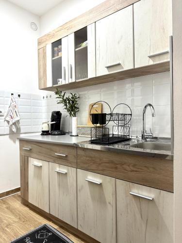 Apartman Mir in Temerin