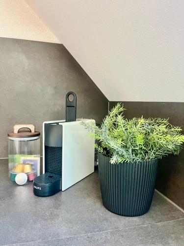 Loft am Rebhügel-modern wohnen in den Weinbergen (Loft am Rebhugel-modern wohnen in den Weinbergen) in Buhl