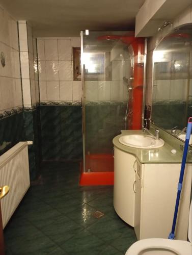 Central Rooms Craiova in คราอิโอวา