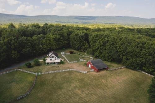 5 Acre Escape - Family Pet friendly, Game Room, Grill, Firepit, and Privacy