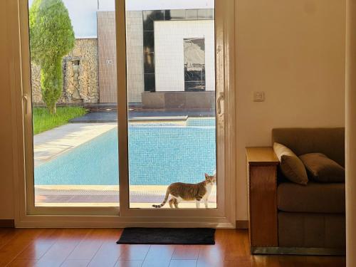 Villa luxueuse avec piscine à Tanger (Villa luxueuse avec piscine a Tanger) in 堅娜域夫