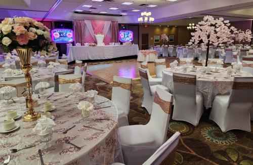 宴會廳, Holiday Inn & Suites Bolingbrook by IHG  in 波林布魯克