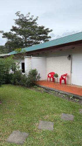 Bonsai House in Brasil