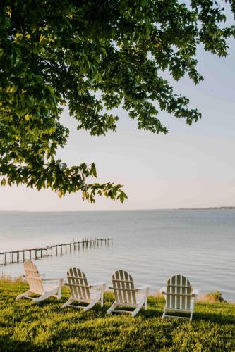 Waterfront Cottage Getaway Views, Kayaks, Fire Pit in Irvington (VA)