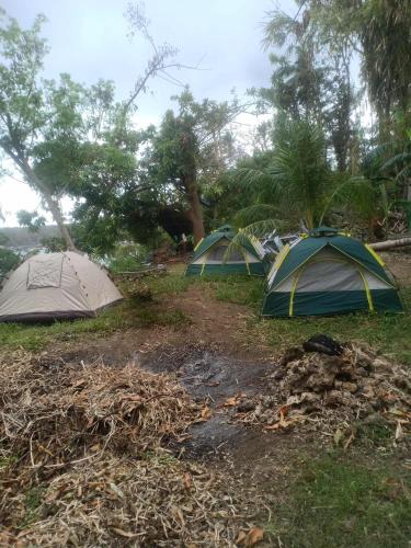 Aiko Beach Isla Sunrise Resort Room Type - Tent