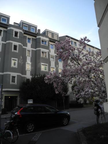 Grazer Spatz in Jakomini