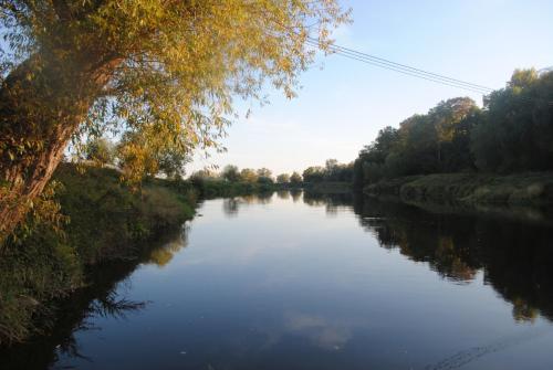 สภาพแวดล้อมโดยรอบ, Fährhaus Gruna (Fahrhaus Gruna) in ลูเทอร์สตัดท์ วิทเทินเบร์ก